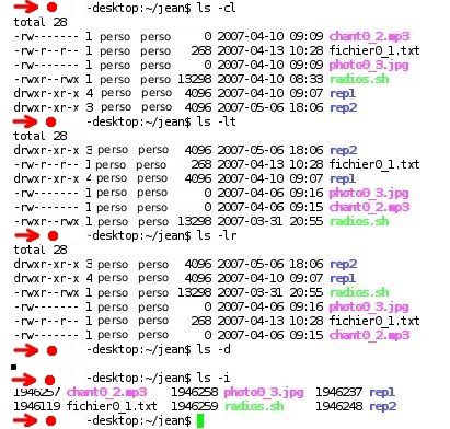 http://www.tasgarth.net/UBUNTU/bash/images/bash1_12.jpg